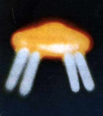 ▲明るい色光を放つUFO。 1974年3月23日の深夜、フランスで目撃された。
