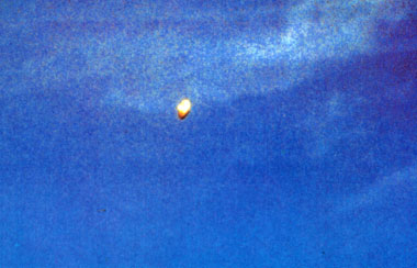 ▲1977年7月26日、午前10時30分頃、ウルグアイのマルドナドでセルヒオ・オタメンディ氏の運転する車のエンジンの力が急に落ちて、ついに車は停車した。その時前方をＵＦＯが飛ぶのをみたオタメンディ氏はカメラをつかんで車外に飛び出しこの写真を撮影した。物体は銀色のドームのある円盤型。